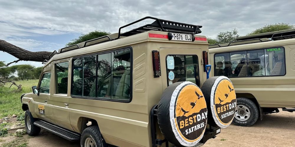 Bestday-Safaris