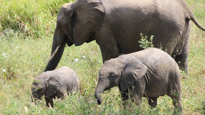 Untitled-design-2025-09-02T180013.931