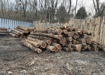 CedarSawmill.com